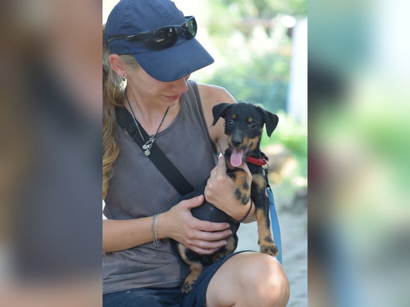 Princess - bereit neues zu entdecken, liebt es zu kuscheln