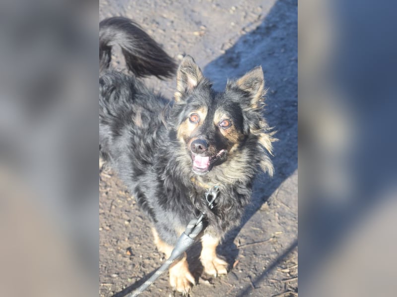 Stella - rüstige Seniorin die noch flott unterwegs ist