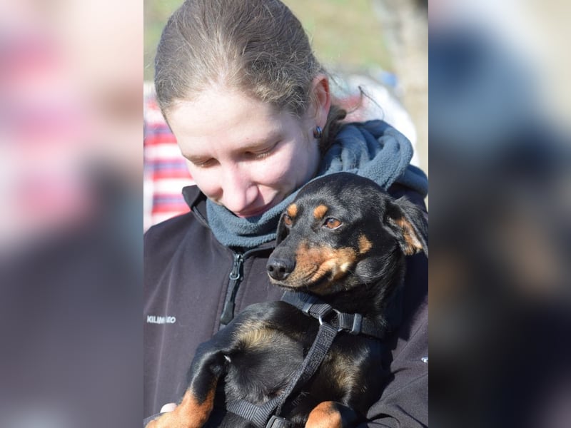 Lina - anfangs vorsichtig, verschmust und liebt es Küsschen zu geben