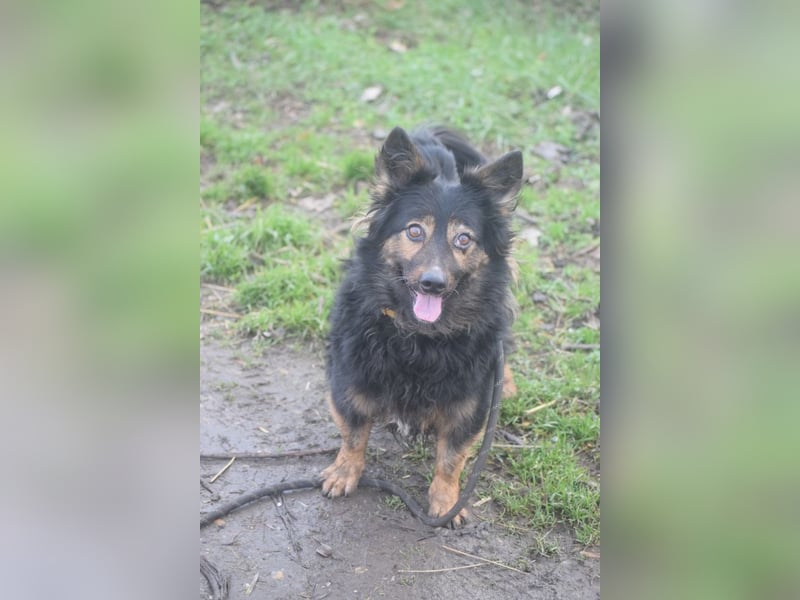 Stella - rüstige Seniorin die noch flott unterwegs ist