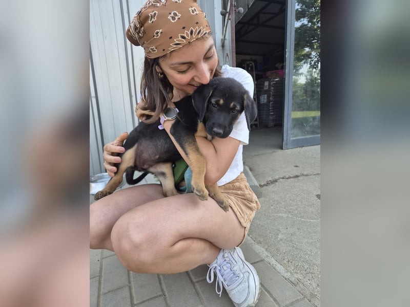Kleine Liv sucht großes Glück