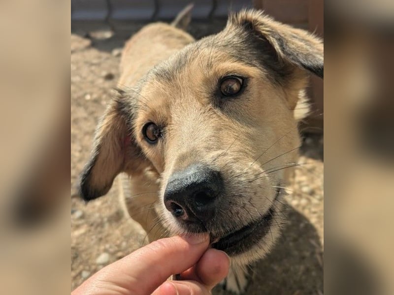 Umi sucht ihre Familie Umi sucht ihre Familie