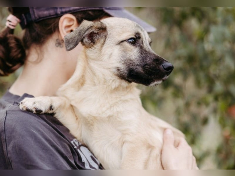 zauberhafter kleiner Urmel