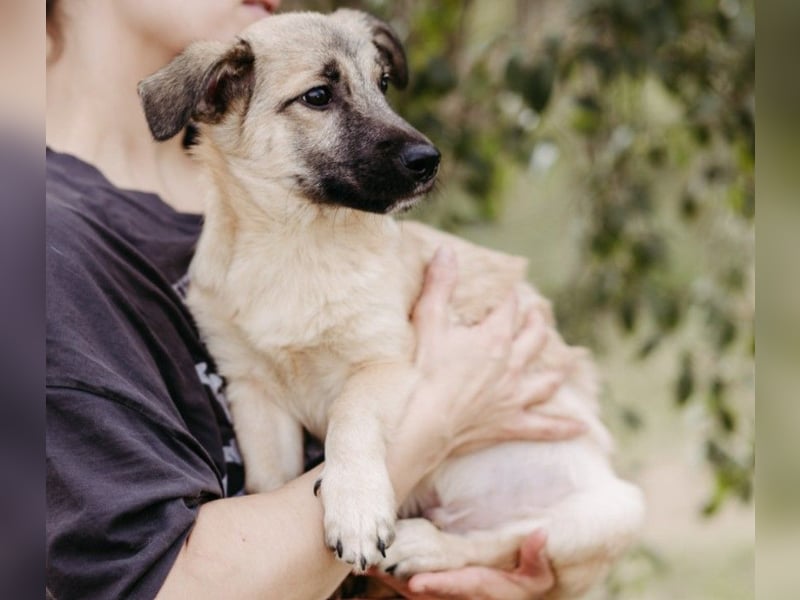 zauberhafter kleiner Urmel