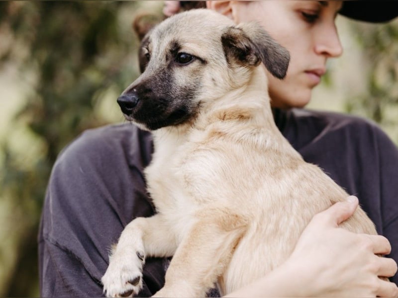 zauberhafter kleiner Urmel