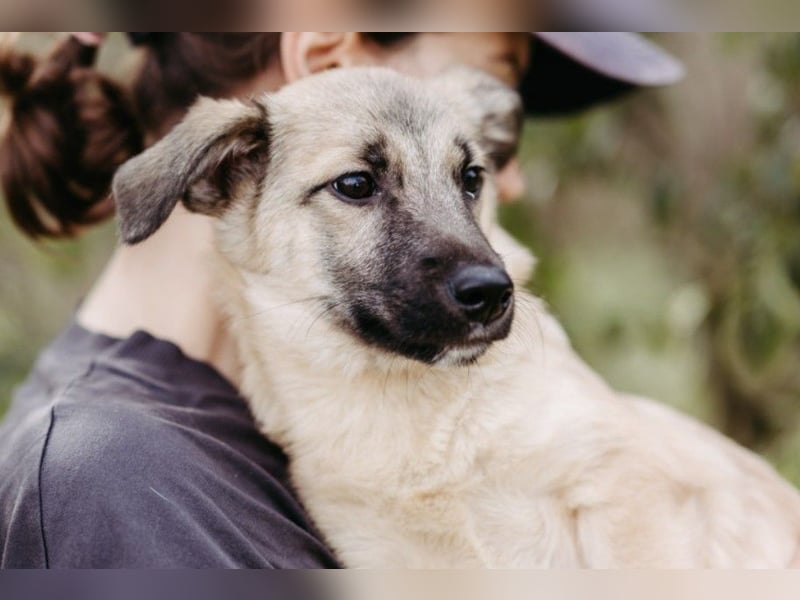 zauberhafter kleiner Urmel