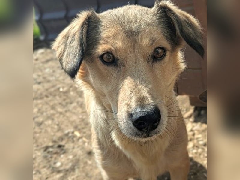 Umi sucht ihre Familie Umi sucht ihre Familie