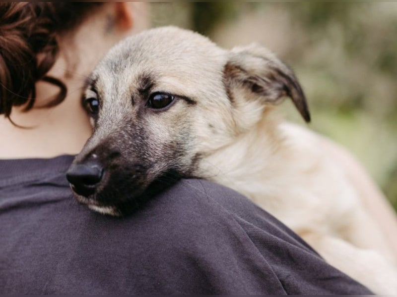 zauberhafter kleiner Urmel