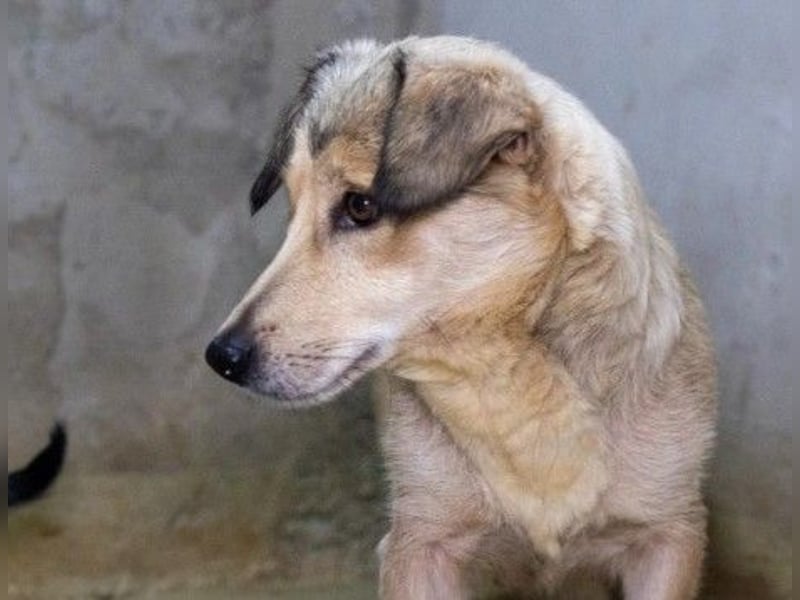 Umi sucht ihre Familie Umi sucht ihre Familie