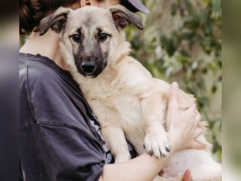 zauberhafter kleiner Urmel