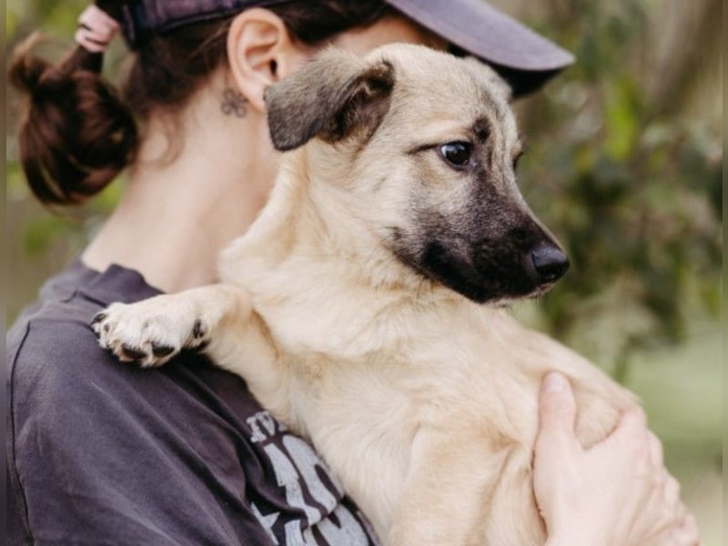 zauberhafter kleiner Urmel