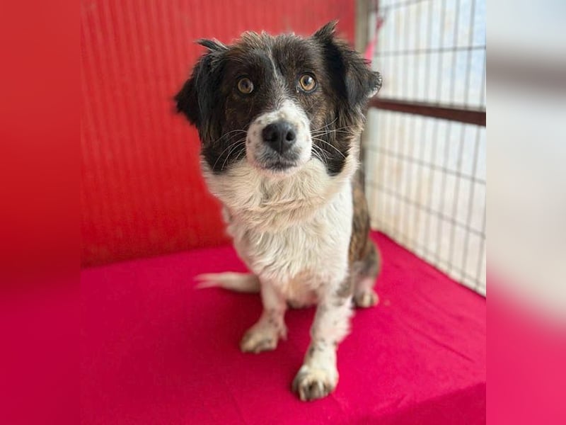 liebenswerter kleiner Schatz HEDI - 2 Jahre/35cm