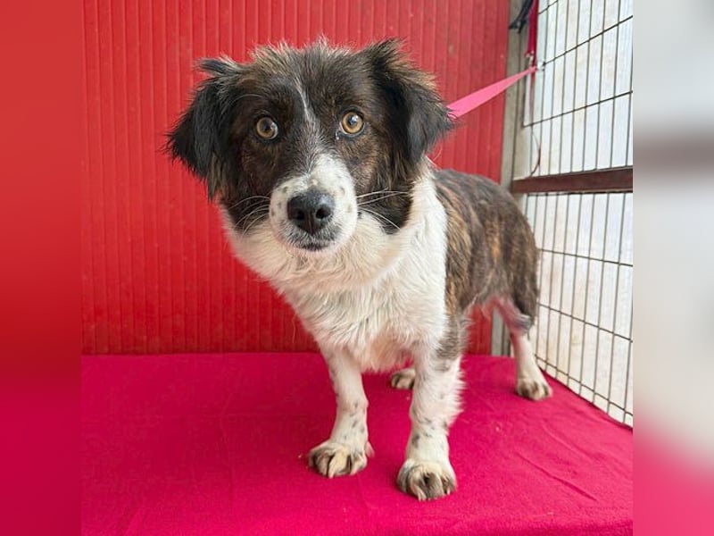 liebenswerter kleiner Schatz HEDI - 2 Jahre/35cm