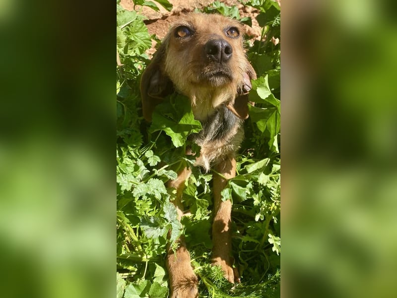 FLOW sucht liebe Familie