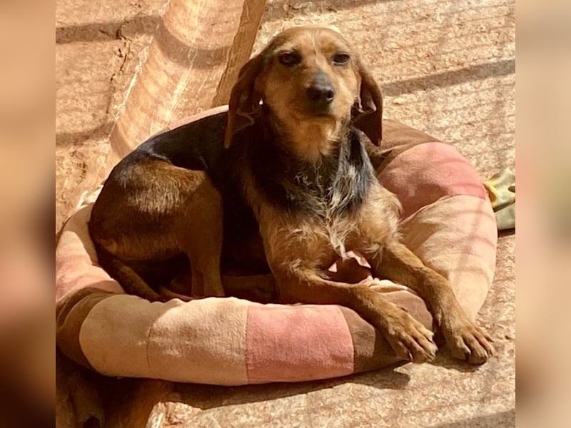 FLOW sucht liebe Familie