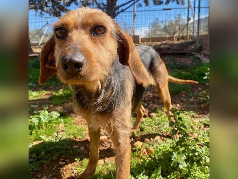 FLOW sucht liebe Familie