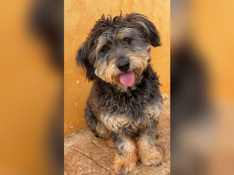 YUNO sucht Familienanschluß