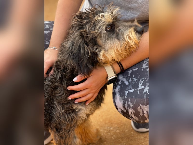 YUNO sucht Familienanschluß