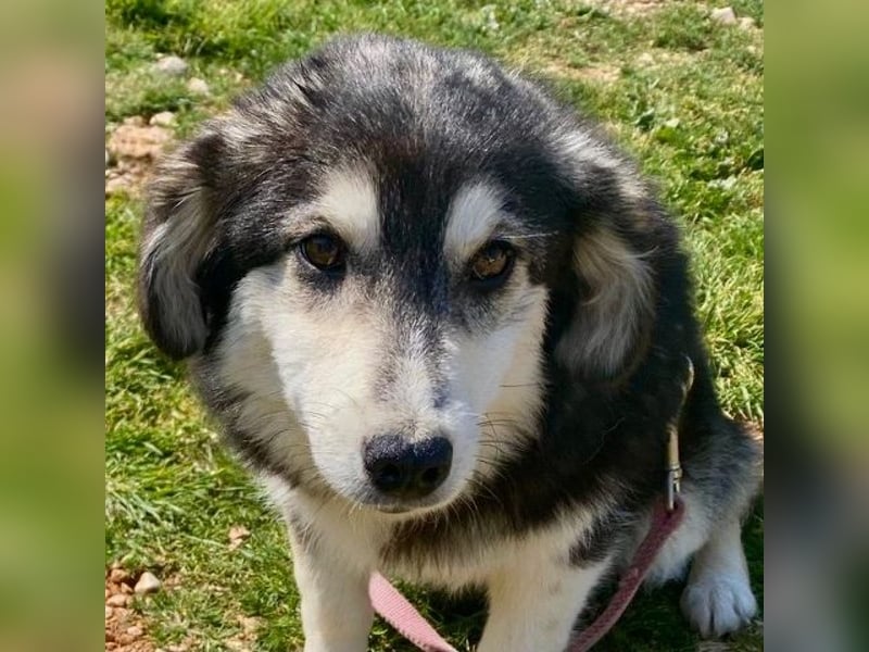 MAGNOLIA sucht Familie