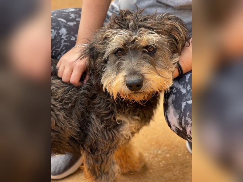 YUNO sucht Familienanschluß