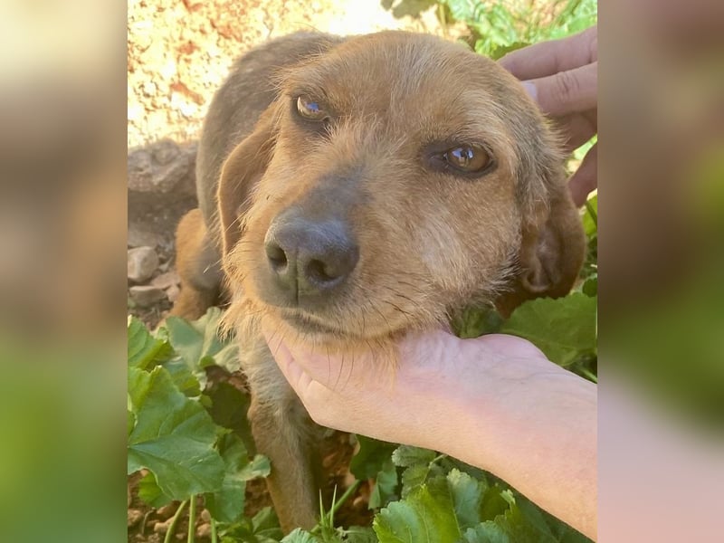 FLOW sucht liebe Familie