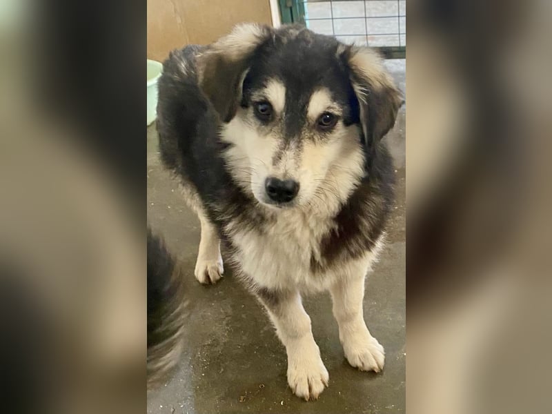 MAGNOLIA sucht Familie