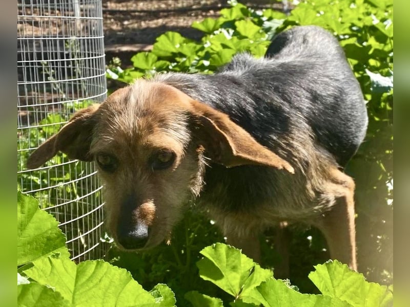 FLOW sucht liebe Familie