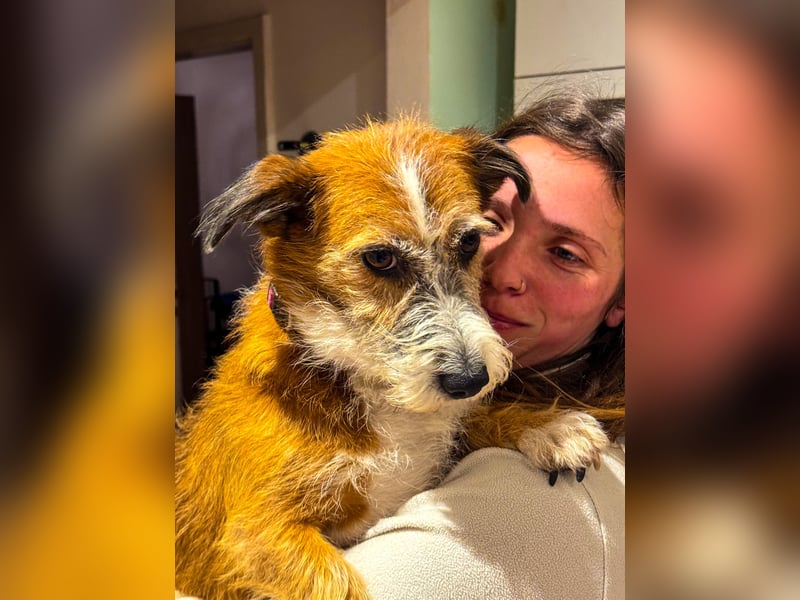 Unsichere Lizu braucht erfahrene Menschen, die ihr ein Fürimmerzuhause geben