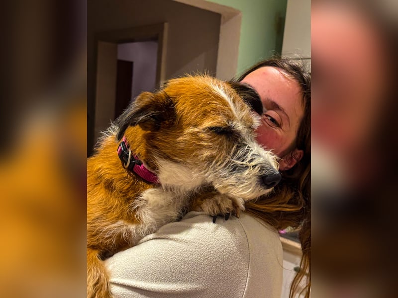 Unsichere Lizu braucht erfahrene Menschen, die ihr ein Fürimmerzuhause geben