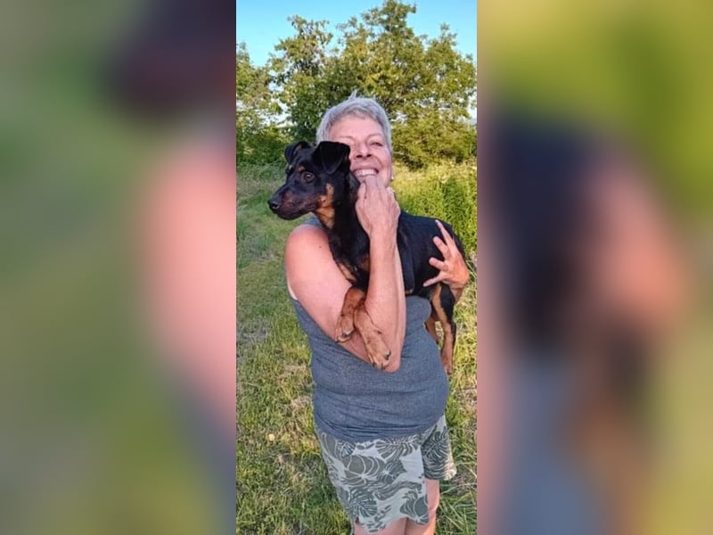 Süße Sofi sucht ein Zuhause oder eine Pflegestelle