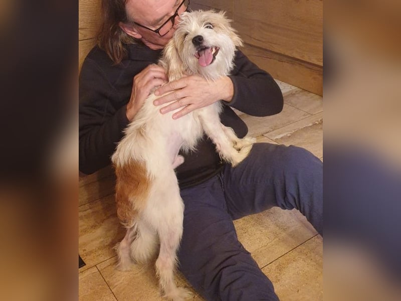 Eko, geb. ca. 11/2021, lebt auf einer Pflegestelle in 54647 Dudeldorf