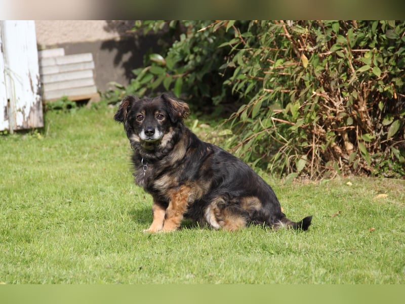 FRODO sucht ein Zuhause FRODO sucht ein Zuhause