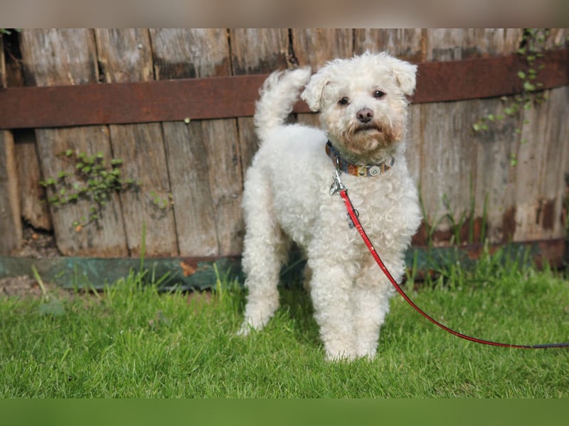 LEXY sucht ein Zuhause LEXY sucht ein Zuhause