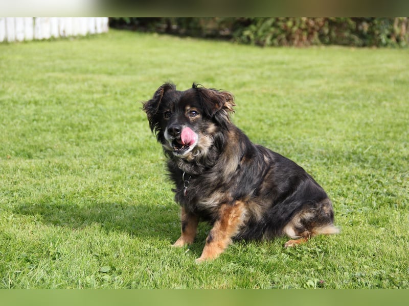 FRODO sucht ein Zuhause FRODO sucht ein Zuhause