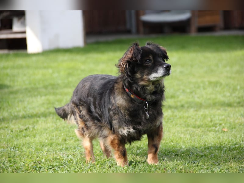 FRODO sucht ein Zuhause FRODO sucht ein Zuhause