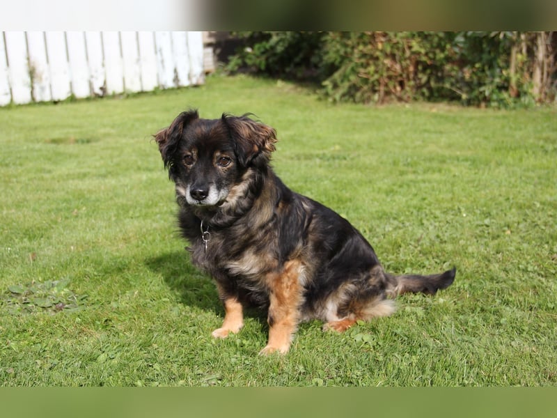 FRODO sucht ein Zuhause FRODO sucht ein Zuhause