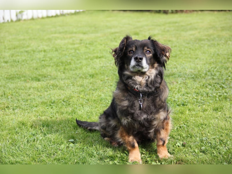 FRODO sucht ein Zuhause FRODO sucht ein Zuhause