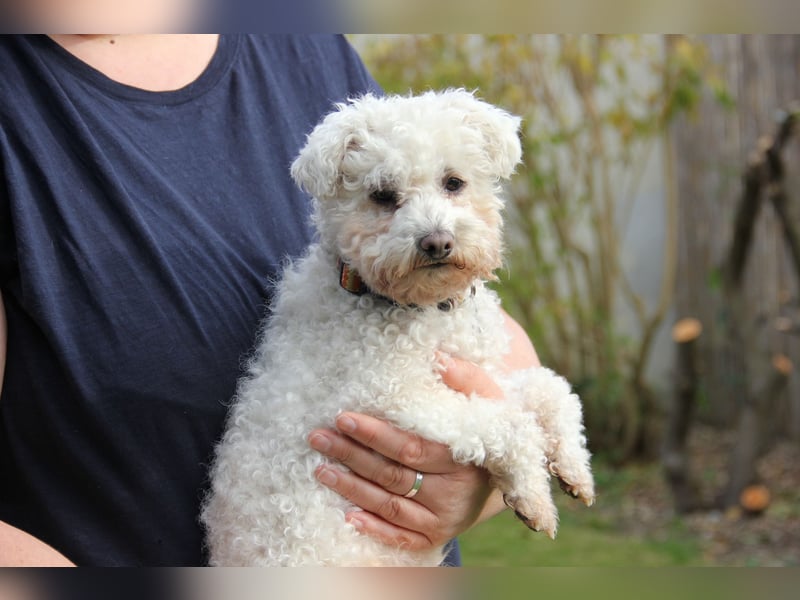 LEXY sucht ein Zuhause LEXY sucht ein Zuhause