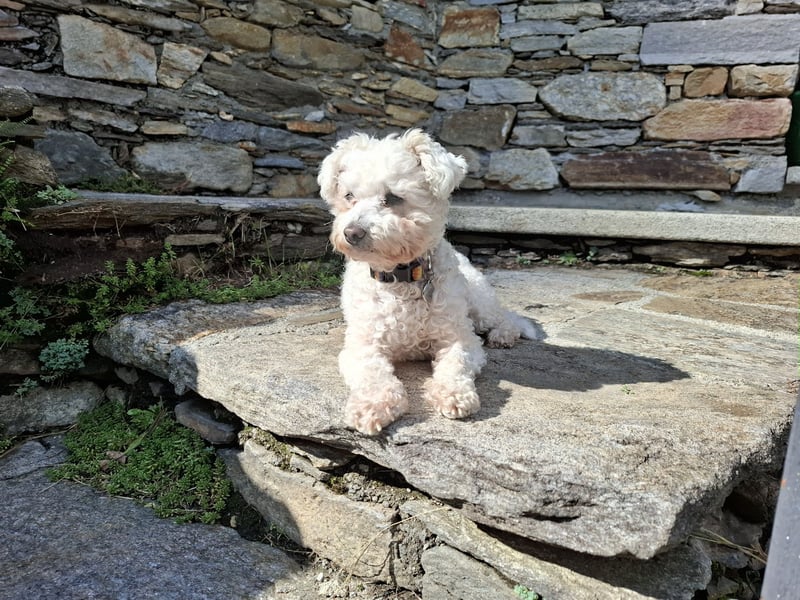 LEXY sucht ein Zuhause LEXY sucht ein Zuhause