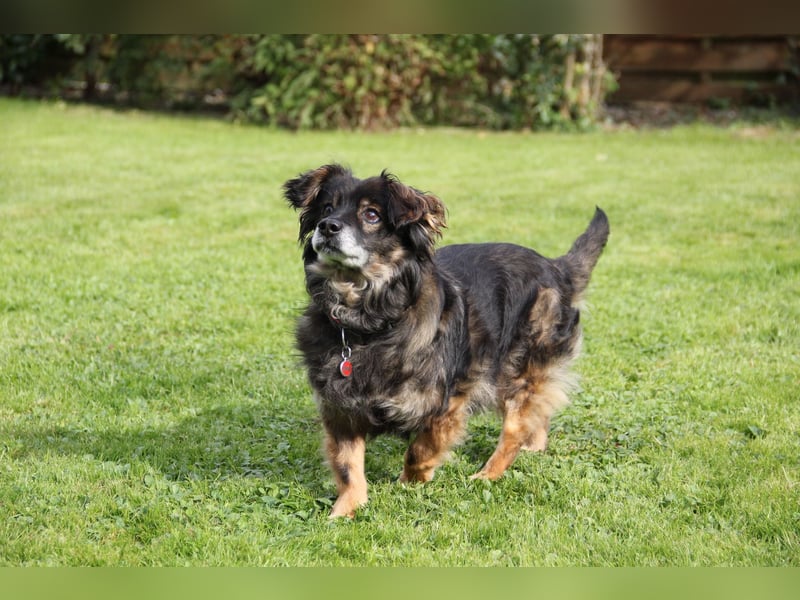 FRODO sucht ein Zuhause FRODO sucht ein Zuhause