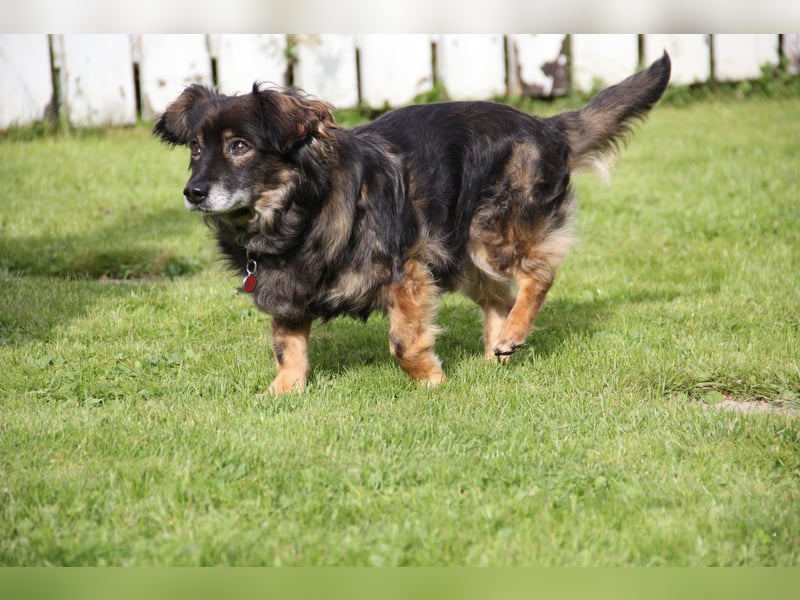 FRODO sucht ein Zuhause FRODO sucht ein Zuhause