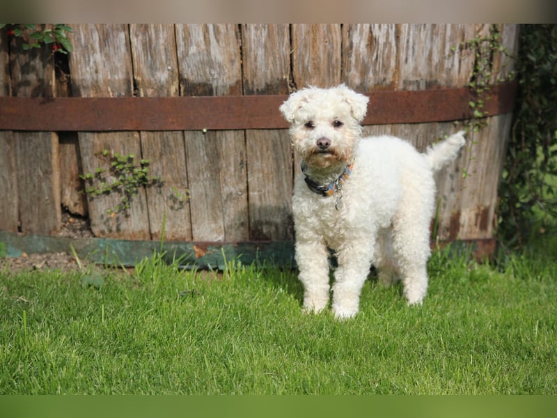 LEXY sucht ein Zuhause LEXY sucht ein Zuhause