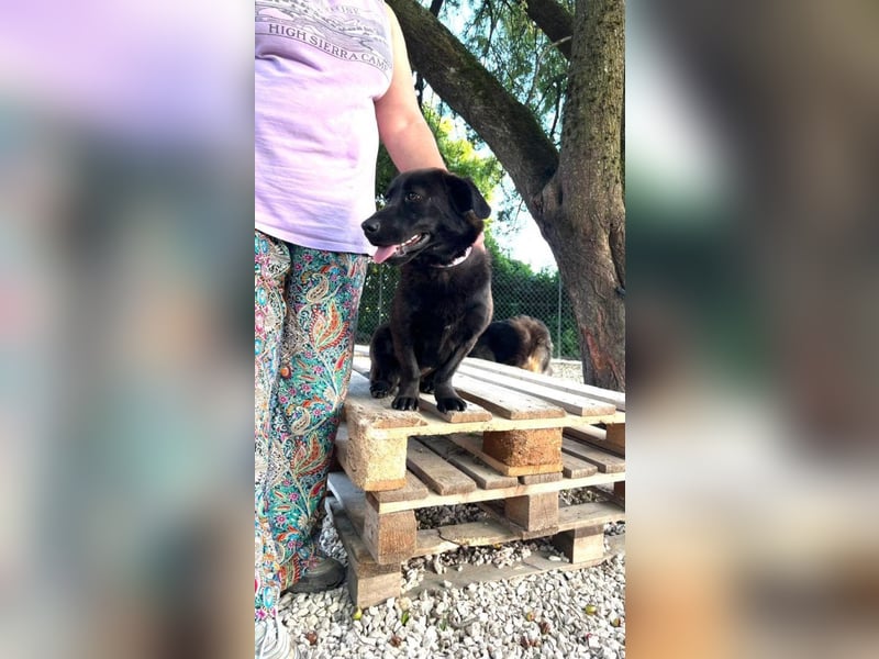Olivia I - auf der Suche nach Liebe und Geborgenheit