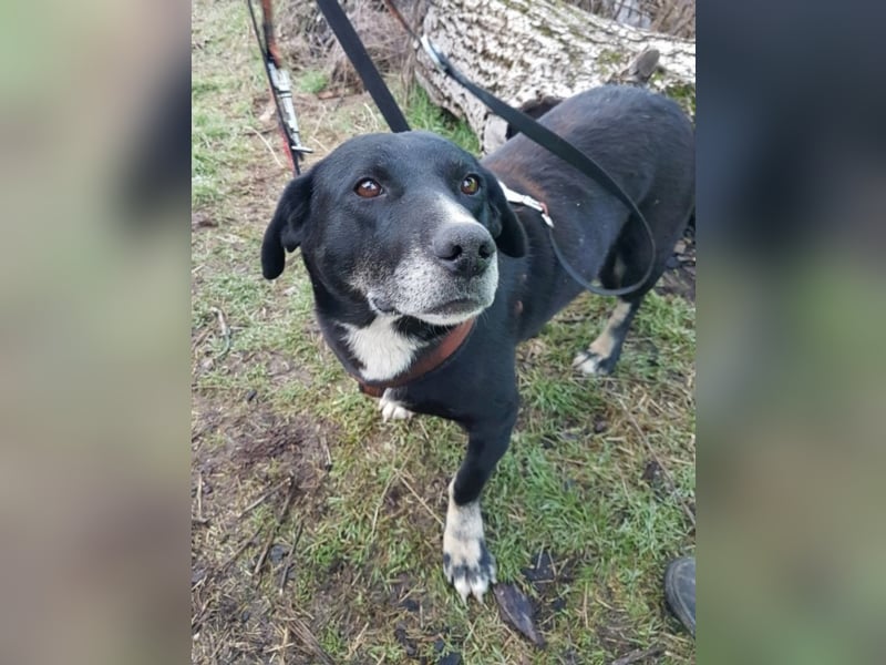 Josephine, ca. 6 Jahre alt