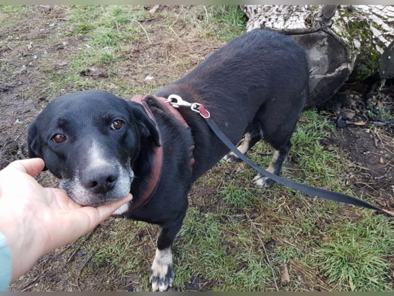 Josephine, ca. 6 Jahre alt