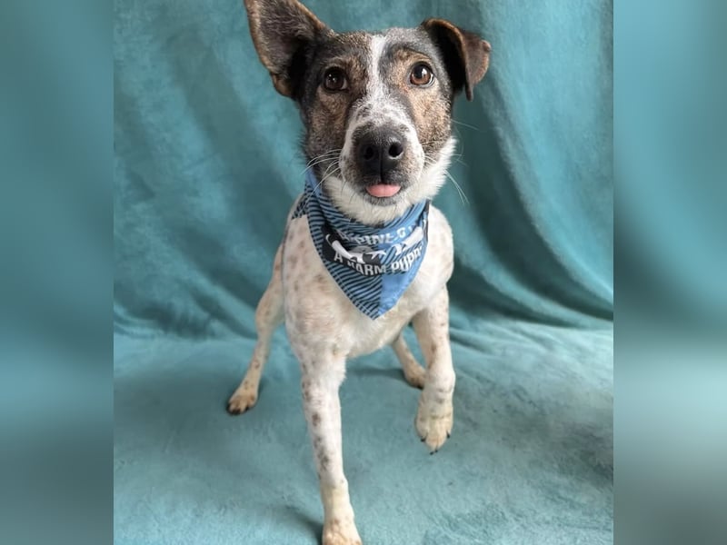 Vasilisa - Zauberhaftes Herzensmädchen sucht ein liebevolles Zuhause