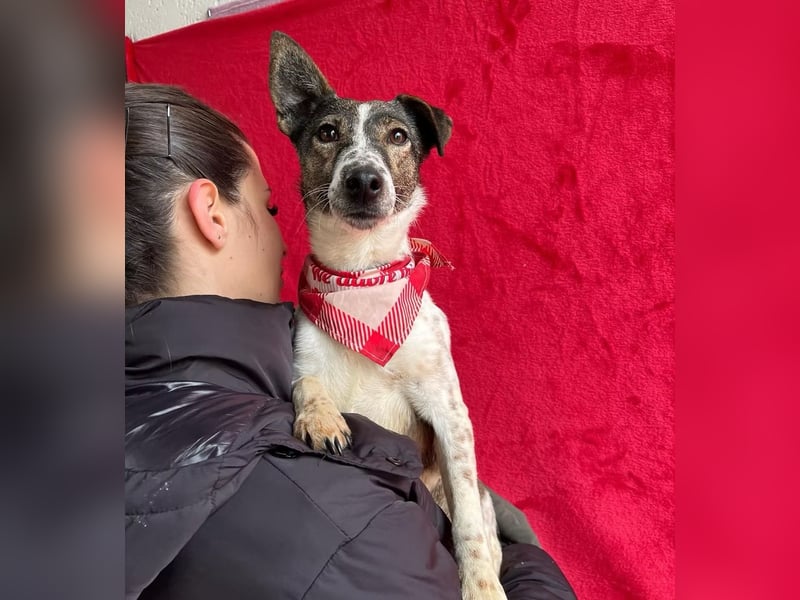 Vasilisa - Zauberhaftes Herzensmädchen sucht ein liebevolles Zuhause