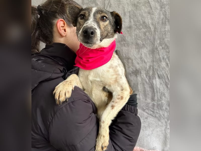 Vasilisa - Zauberhaftes Herzensmädchen sucht ein liebevolles Zuhause