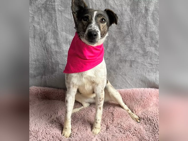 Vasilisa - Zauberhaftes Herzensmädchen sucht ein liebevolles Zuhause