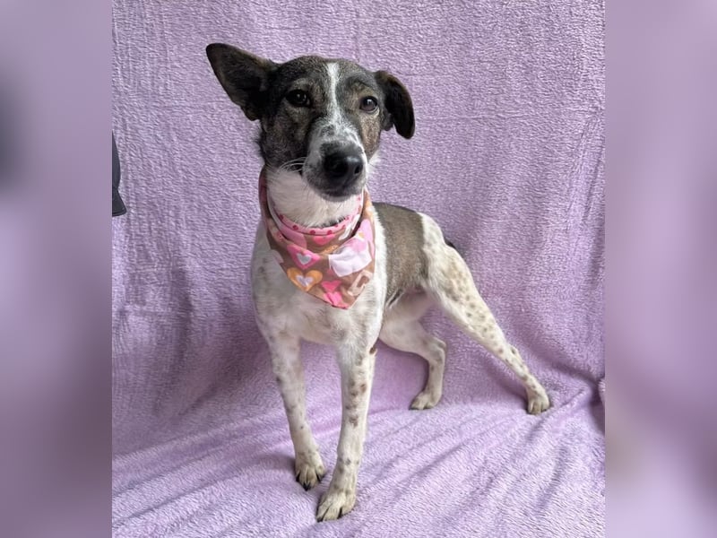 Vasilisa - Zauberhaftes Herzensmädchen sucht ein liebevolles Zuhause